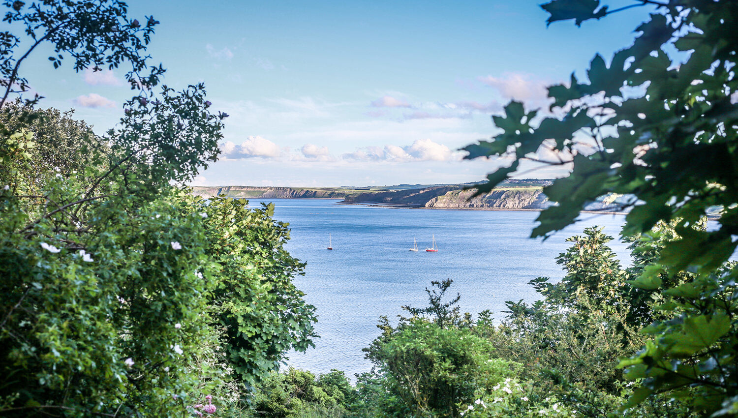 Stunning Scarborough - View to the south from Holbeck on the Cleveland Walk
